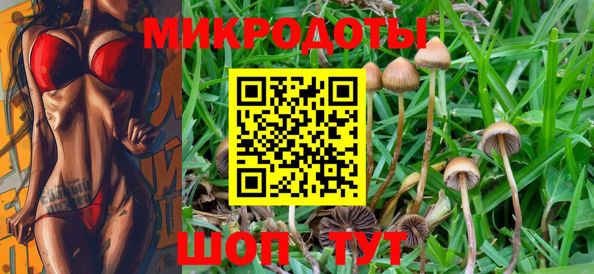 Галлюциногенные грибы Psilocybine cubensis Спасск-Дальний
