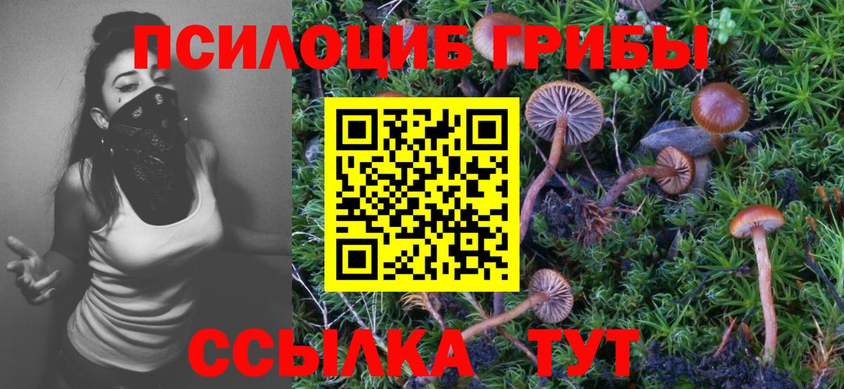 Псилоцибиновые грибы Psilocybine cubensis  Вход с VPN  Спасск-Дальний 